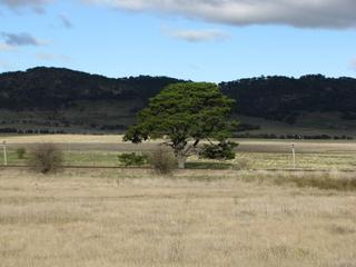 View from block