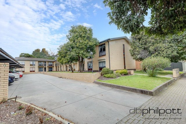 6/72 George Street, SA 5067