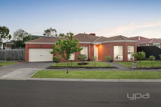 1 Bluebell Crescent, VIC 3043