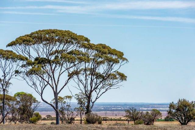 3/null Mukinbudin North  Road, WA 6479