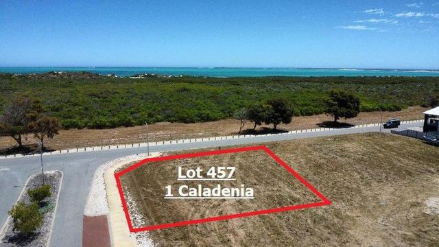 1 Caladenia Way, WA 6516