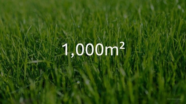 22 Wattle Crescent, VIC 3807