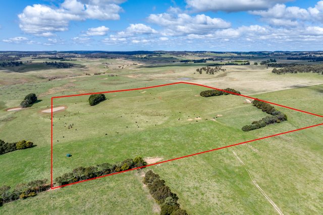 1182 Yalbraith Road, NSW 2580