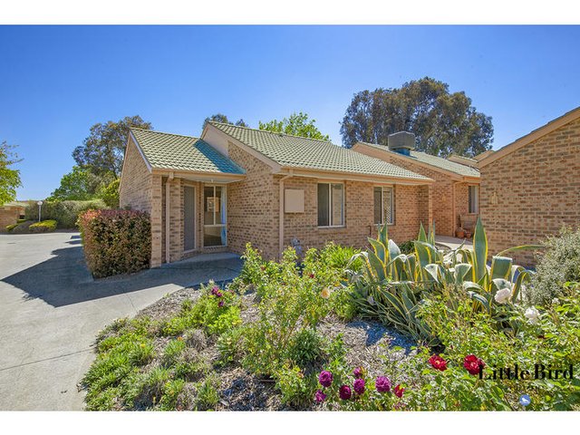 3 / 32 Sid Barnes Crescent, ACT 2906