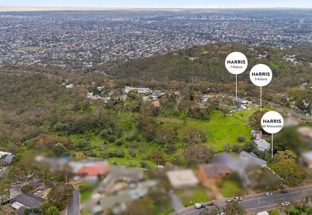 60 Gloucester Avenue, SA 5052