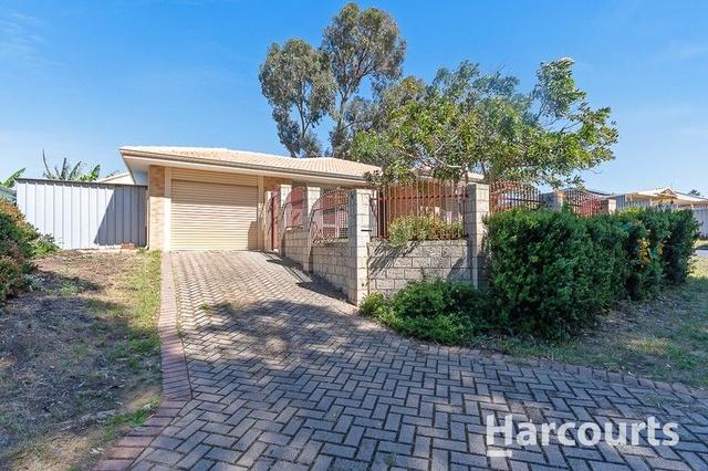 36 Dewar Mews, WA 6030