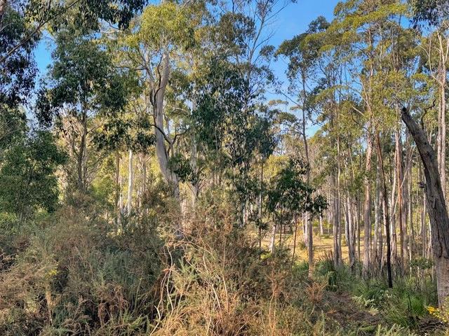 Lot 2 Gillies Road, TAS 7215