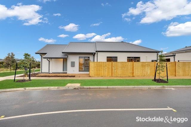 19 Agnew Walk, VIC 3029