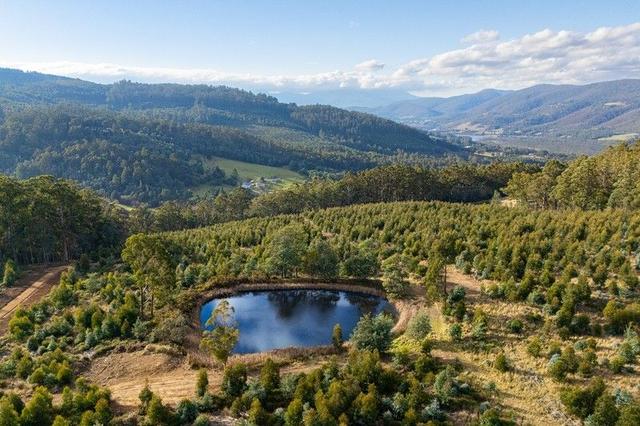 Lot 10 Off Paddys Lane, TAS 7113