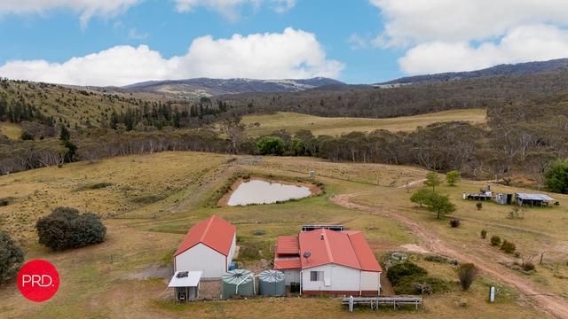 203 Wolgal Road, NSW 2623