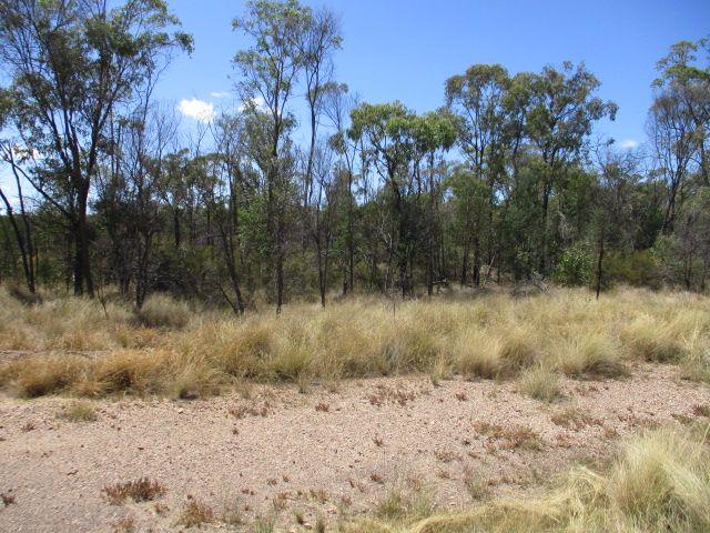 Lot 33 Males  Drive, QLD 4421