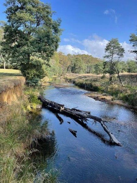 - Pages Road, TAS 7325