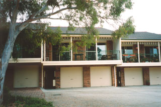 A leafy outlook! (2004-01-04)