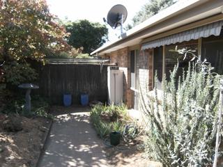 Garden (2010-04-29)