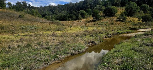 Lot 1066 Sheet O'Bark Road, NSW 2447