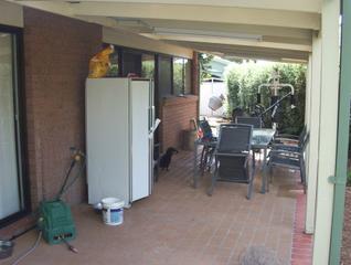 Backyard (2010-02-12)