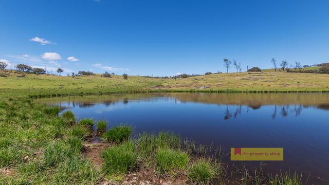 479 Wallawaugh Road, NSW 2850