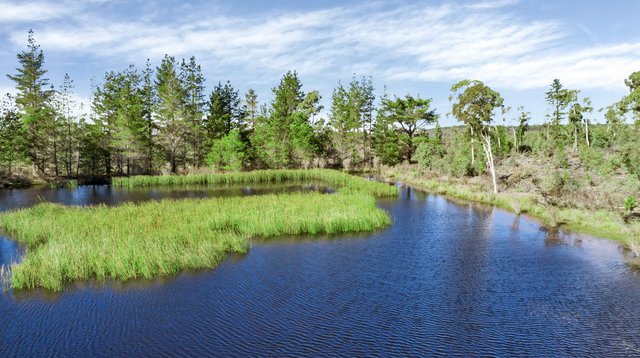 464 Tally Ho, NSW 2622