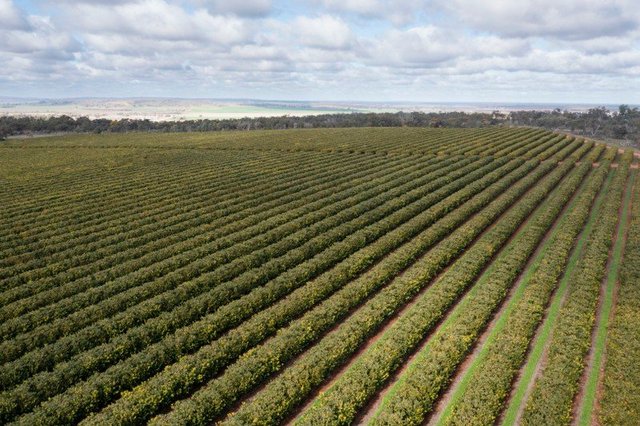 203 Payten Road, NSW 2705