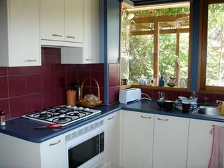 Kitchen (2010-12-21)