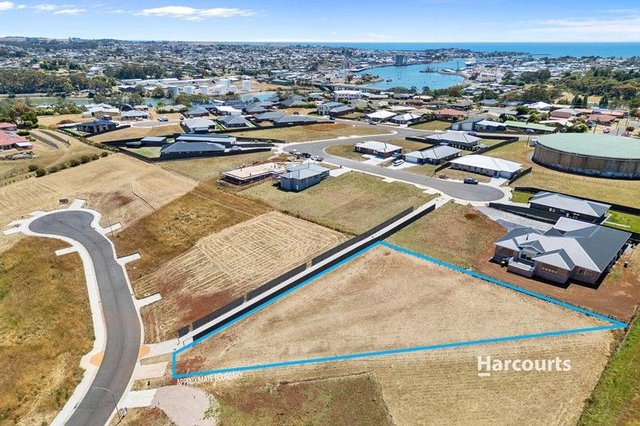 20 Curtis Place, TAS 7310