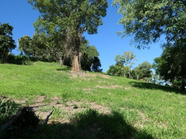 18 McBean Street, QLD 4310