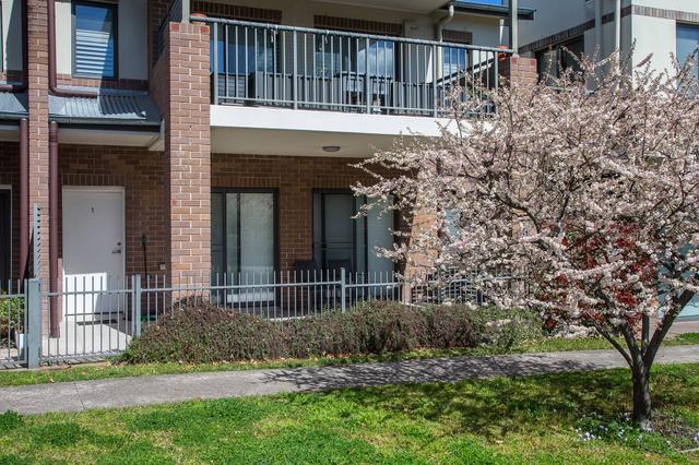 1/3 Victoria Street, NSW 2576