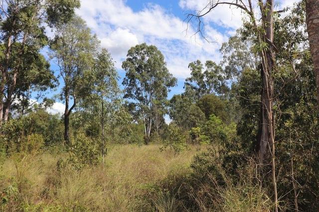 Lot A Forestry Road, QLD 4626