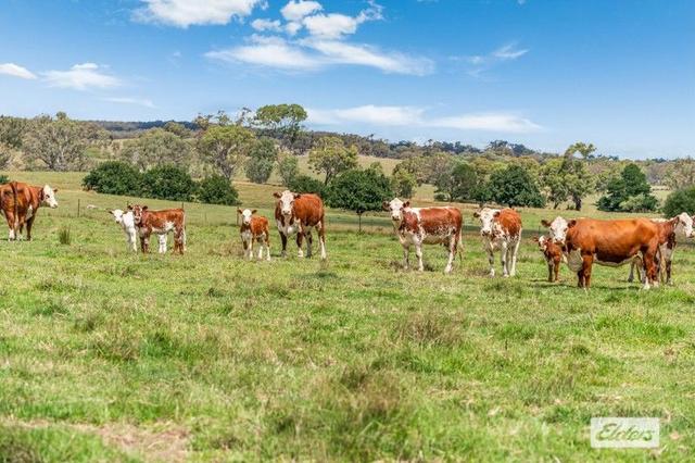 55 Rosehill Road, VIC 3448