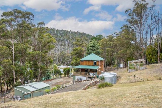 123 Waggs Gully Road, TAS 7109