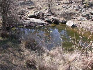Creek (2004-09-27)