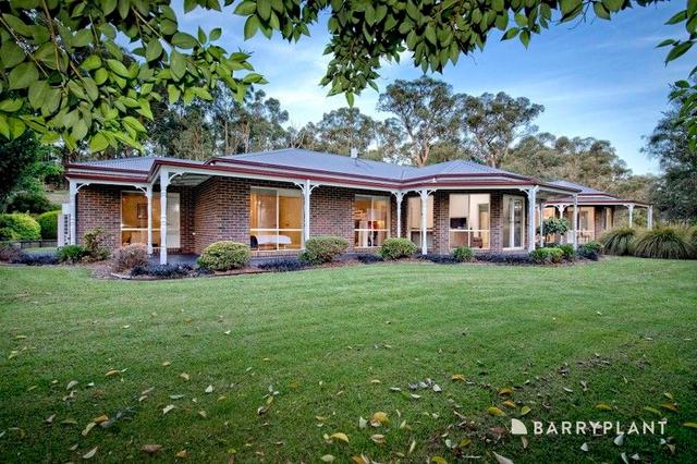 445 MacClesfield Road, VIC 3782