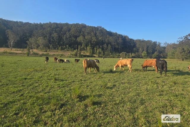 (no street name provided), NSW 2429
