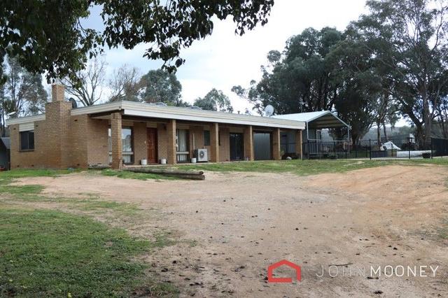 590 O'Briens Creek Road, NSW 2650