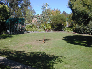 Rear yard