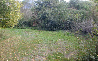 Garden (2003-04-04)