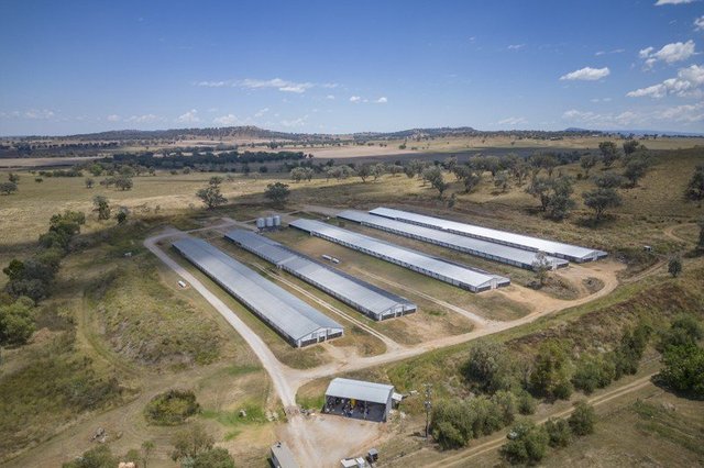 2797 Manilla Road, NSW 2345