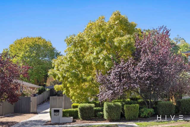 107 Jim Pike Avenue, ACT 2906