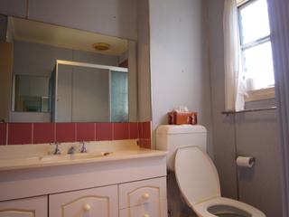 Bathroom (2010-09-22)