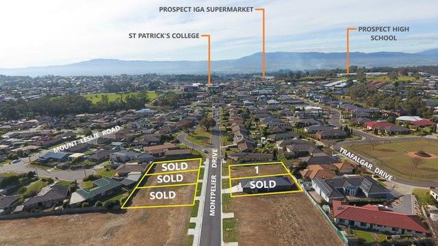 Montpelier Drive, TAS 7250