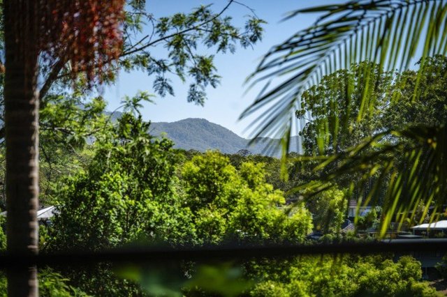 4 Melia Place, NSW 2454