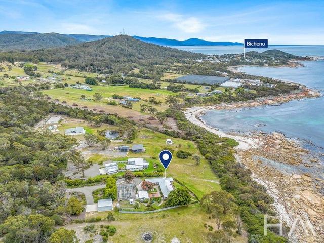 119 Harveys Farm  Road, TAS 7215