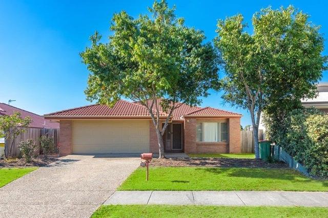 20 Ferncliffe Street, QLD 4209