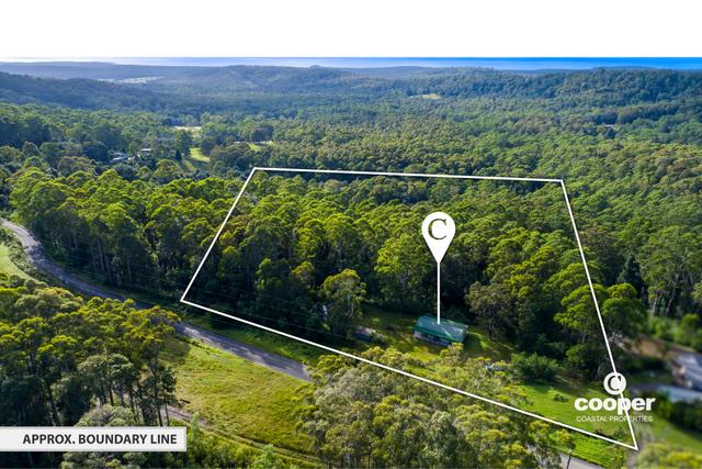 520 Monkey Mountain Road, NSW 2538