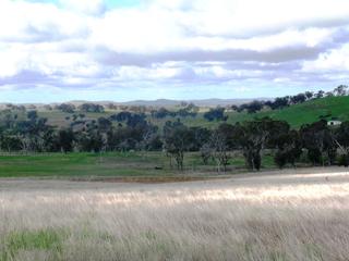 Main Photo (2010-05-08)