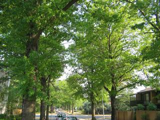 View of street