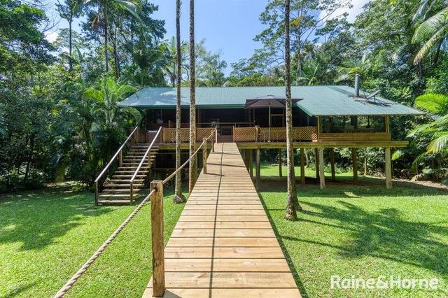 3198 Mossman Daintree Road, QLD 4873