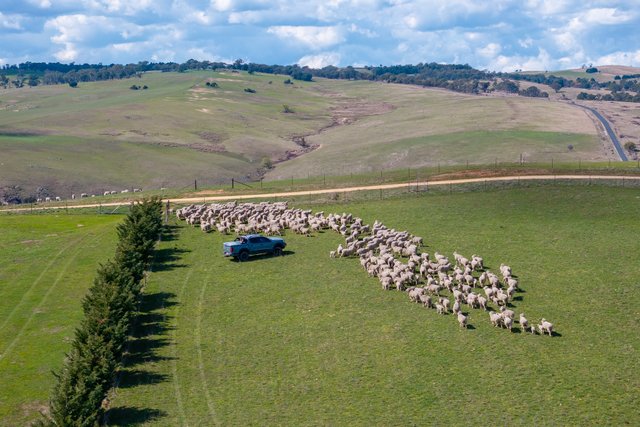 1185 Golspie Road, NSW 2583