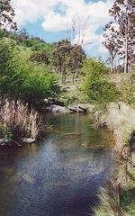 creek (2001-11-02)
