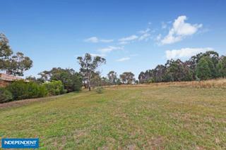 Reserve backing Salkauskas Crs (2013-02-27)